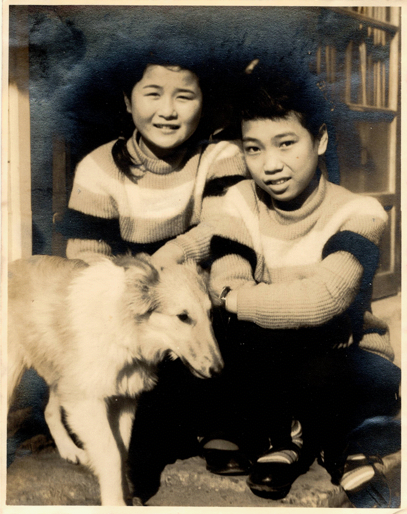 写真提供：小高桂子様